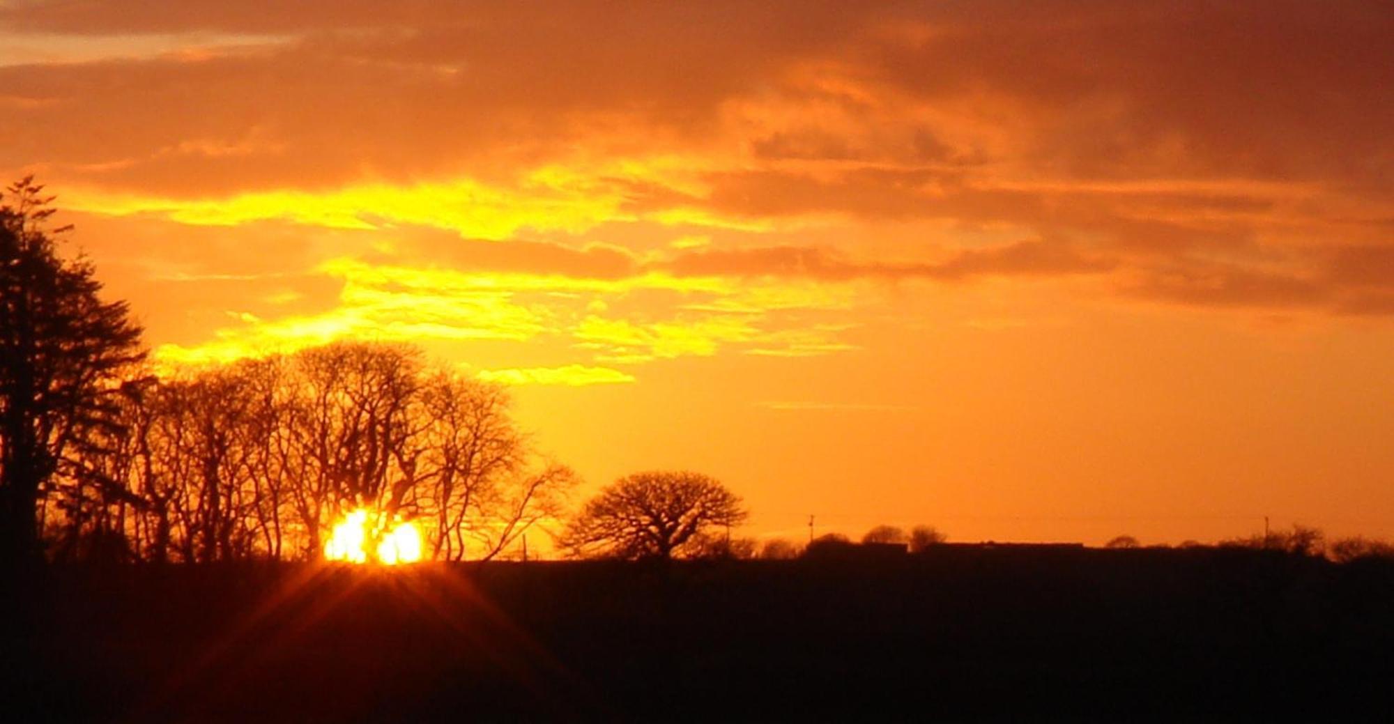 The Paddock Bed & Breakfast Haverfordwest Bagian luar foto